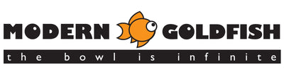 moderngoldfish