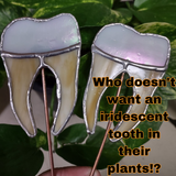 Molar Plant Stakes, aka IMPLANTS