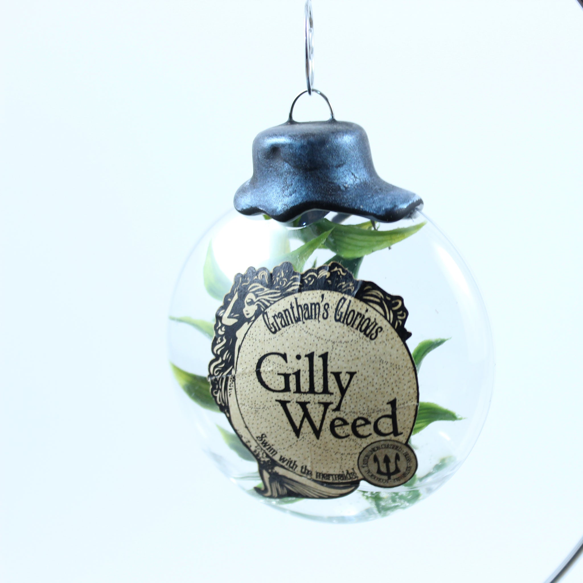 Pieces by Polly: Harry Potter Potions Ornament